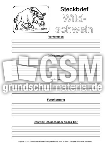 Wildschwein-Steckbriefvorlage-sw.pdf
